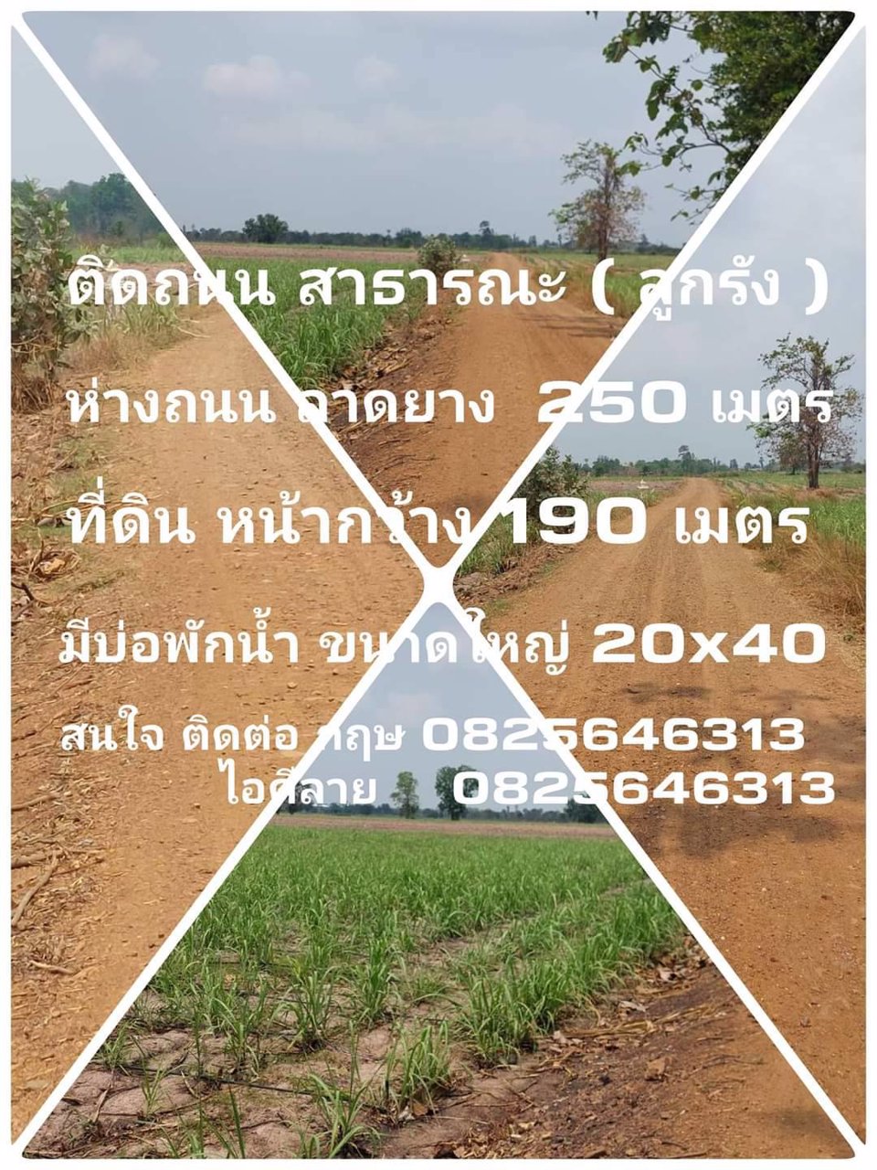 ขายที่ดิน-ราคาถูกๆ-หน้าติดสาธารณะ2ฝั่ง-ที่สวยดินดี-มีบ่อพัก