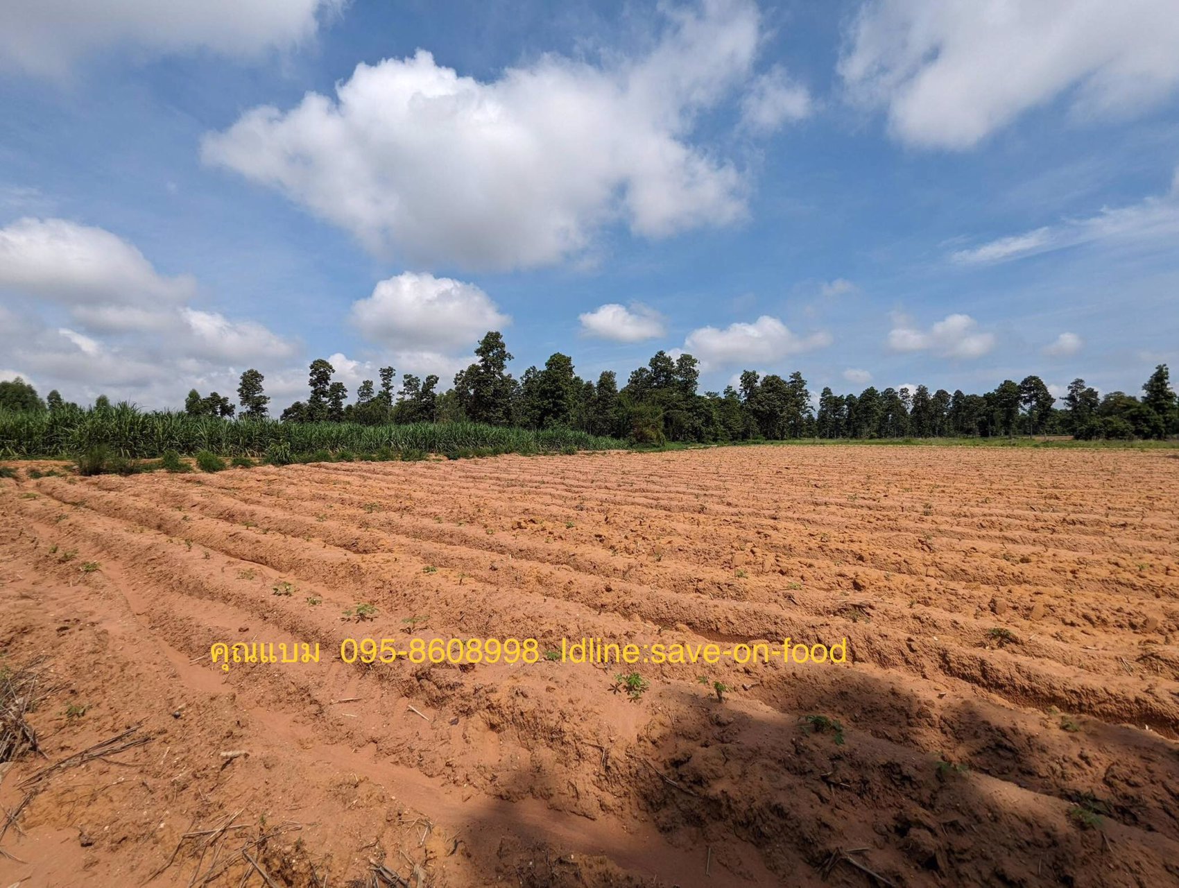 ขายที่ดิน-7-ไร่-3-งาน-36-ตารางวา-ราคาไร่ละ-320000-บาท