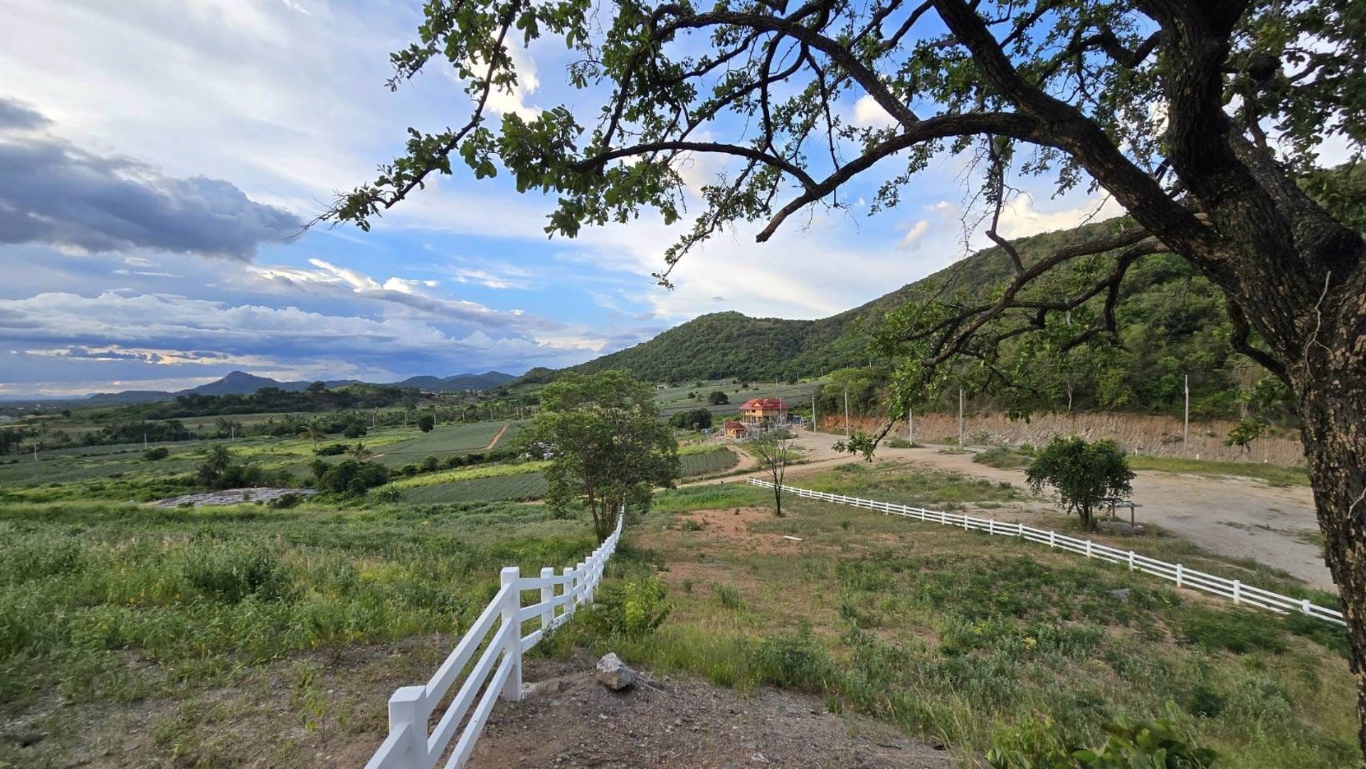 ขายที่ดิน-วิวภูเขา-ท่ามกลางธรรมชาติ-ที่สวยงาม