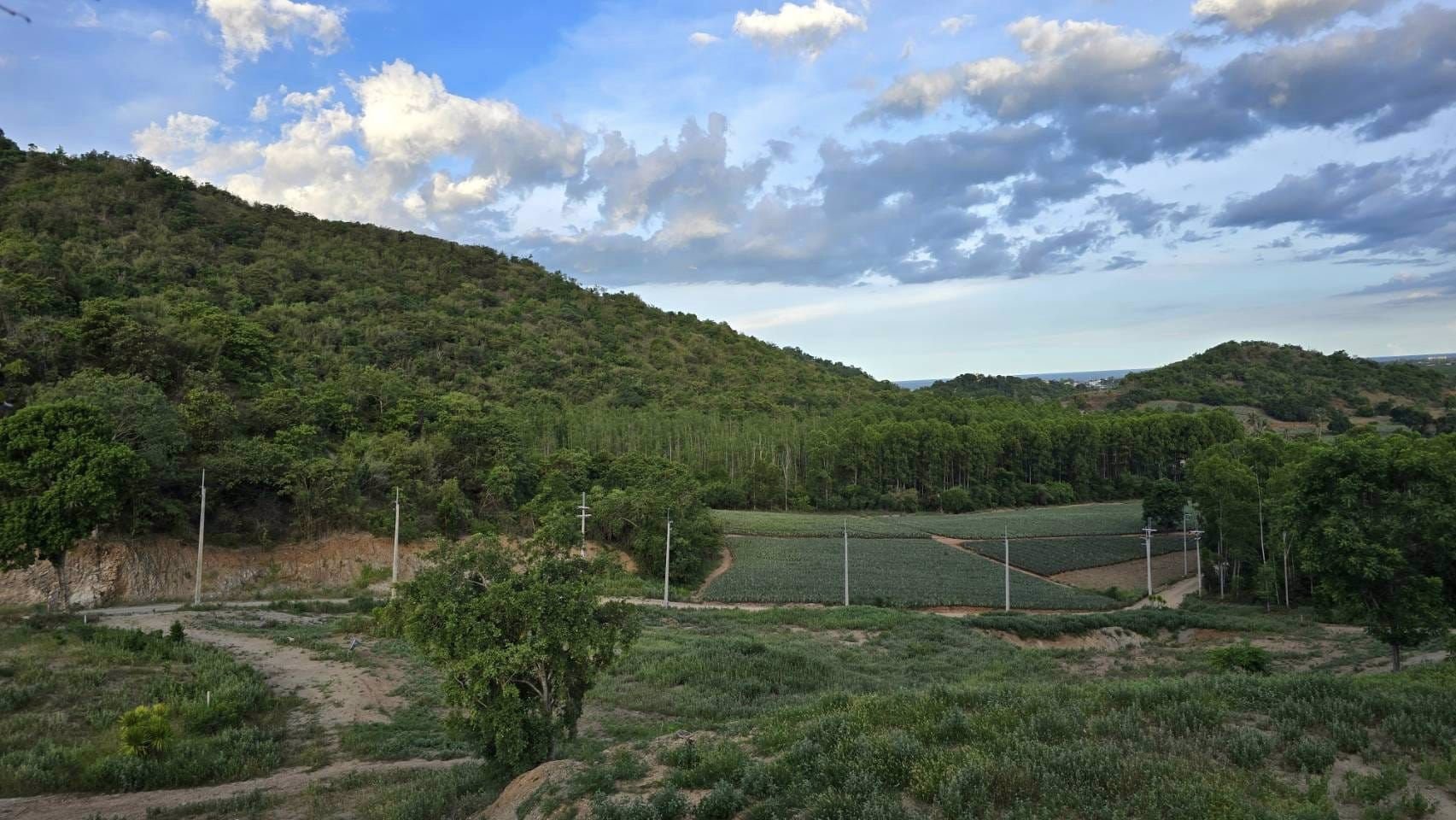 ขายที่ดิน-วิวภูเขา-ท่ามกลางธรรมชาติ-ที่สวยงาม