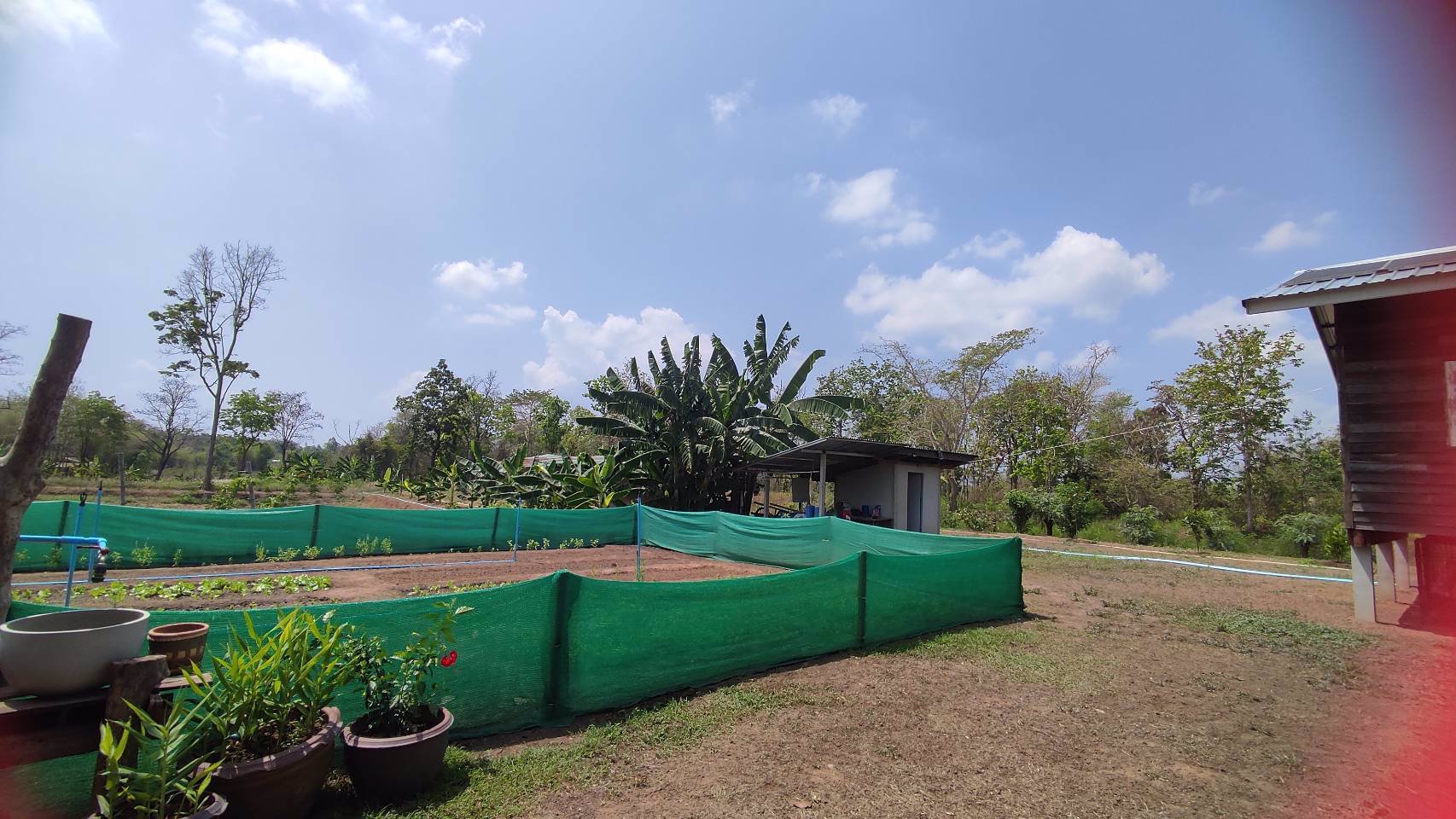 ขายที่ดินด่วน-เนื้อที่-13-ไร่-3-งาน-65-ตารางวา