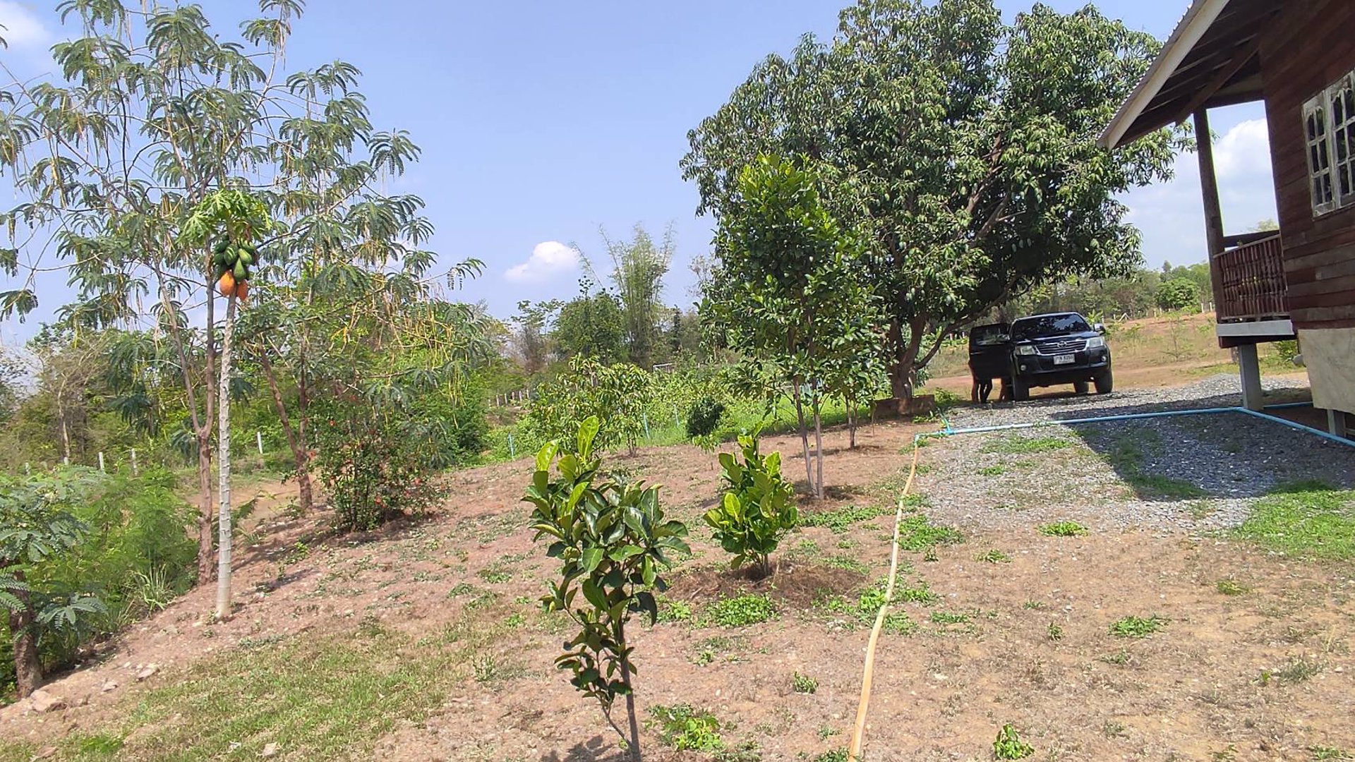 ขายที่ดินด่วน-เนื้อที่-13-ไร่-3-งาน-65-ตารางวา