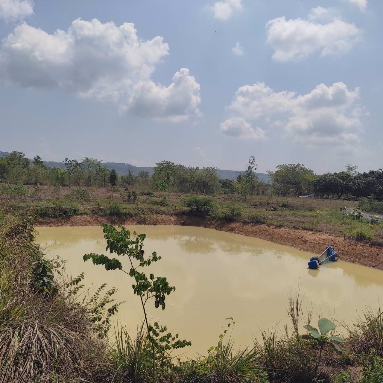 ขายที่ดินด่วน-เนื้อที่-13-ไร่-3-งาน-65-ตารางวา