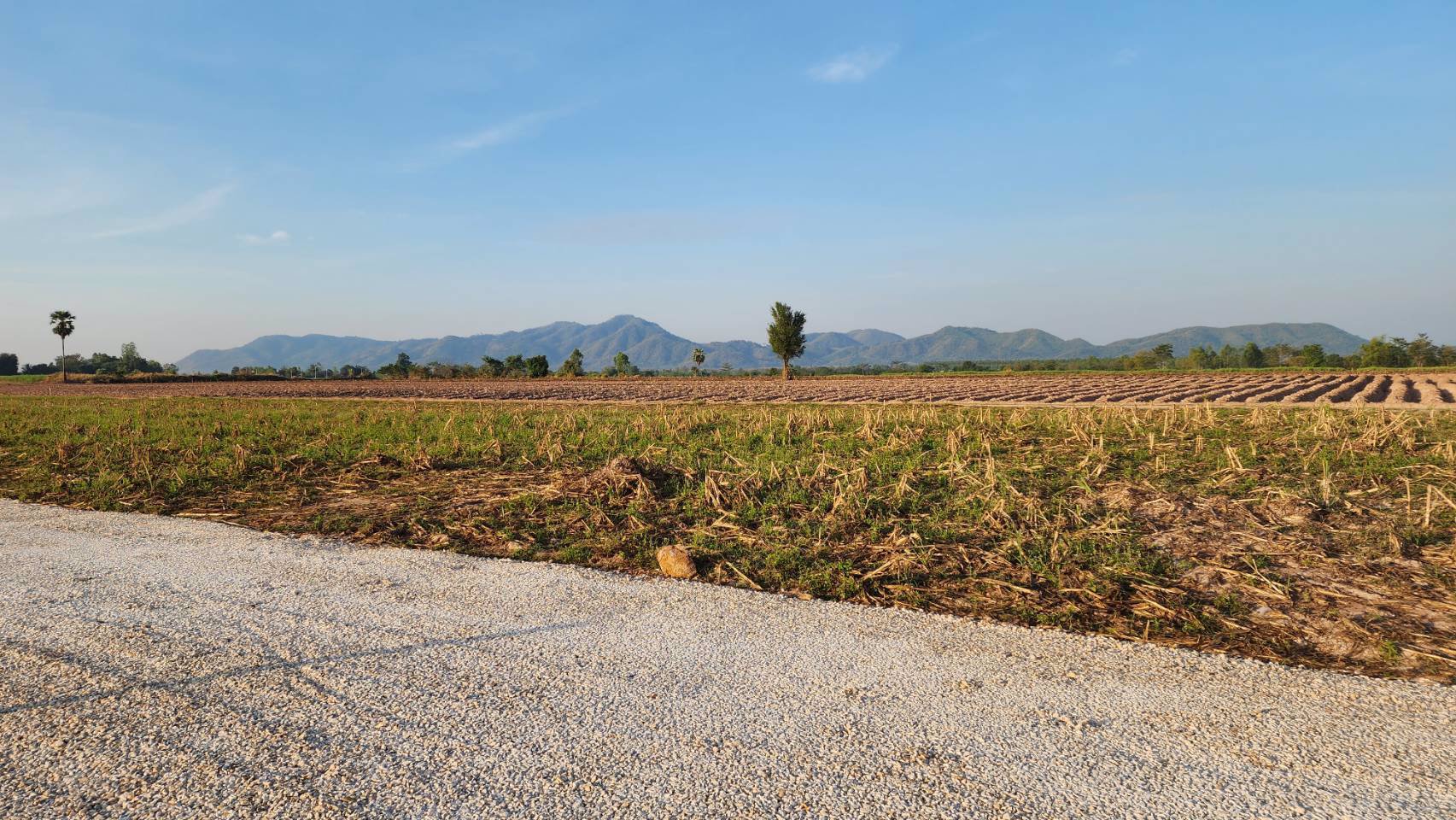 ที่ดินเปล่าแบ่งขาย-วิวภูเขา-โฉนดครุฑแดง-นส4จ