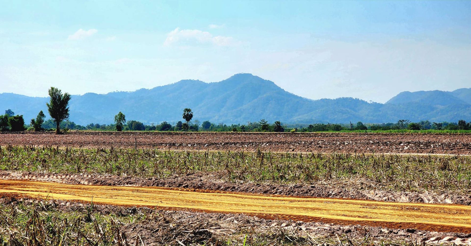 ที่ดินเปล่าแบ่งขาย-วิวภูเขา-โฉนดครุฑแดง-นส4จ
