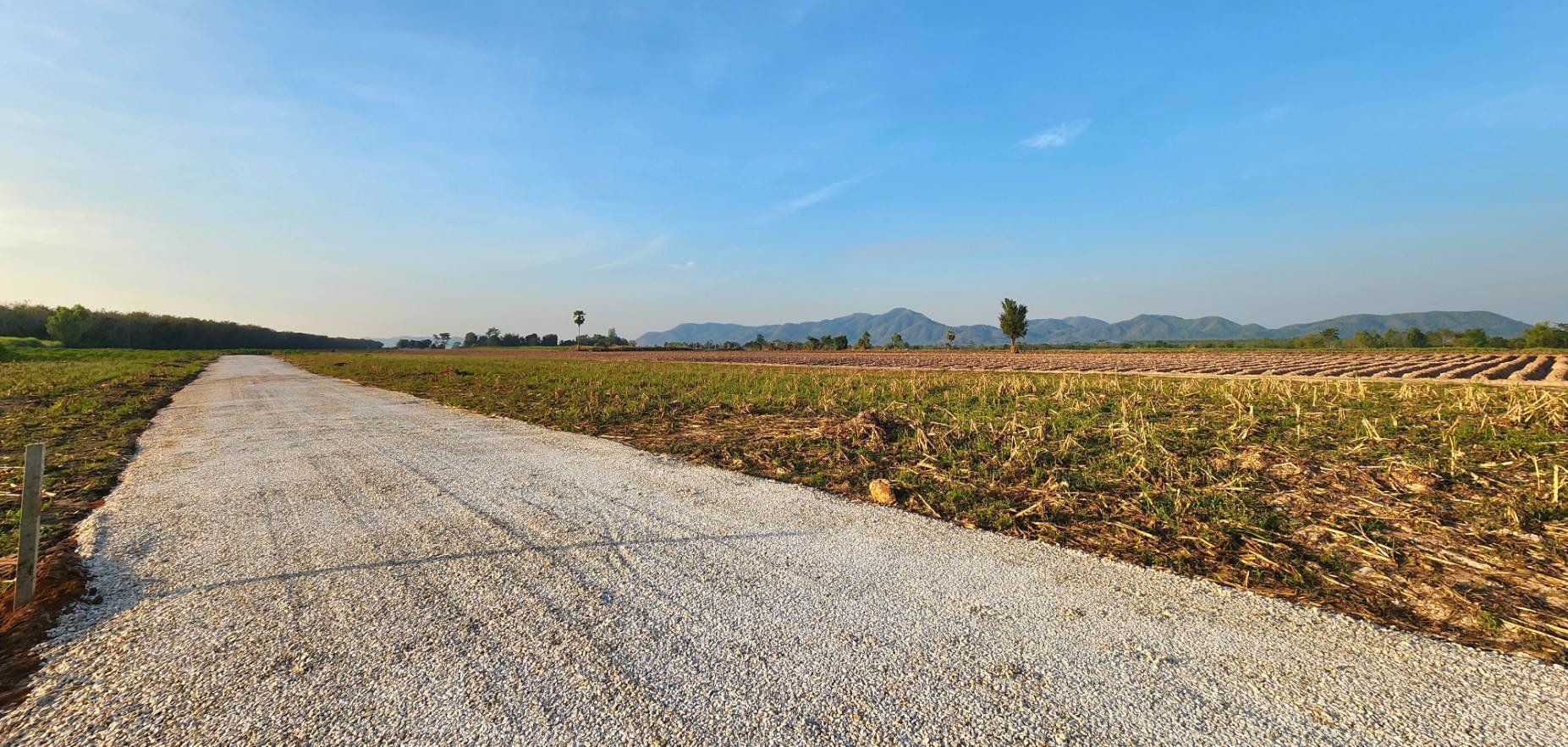 ที่ดินเปล่าแบ่งขาย-วิวภูเขา-โฉนดครุฑแดง-นส4จ
