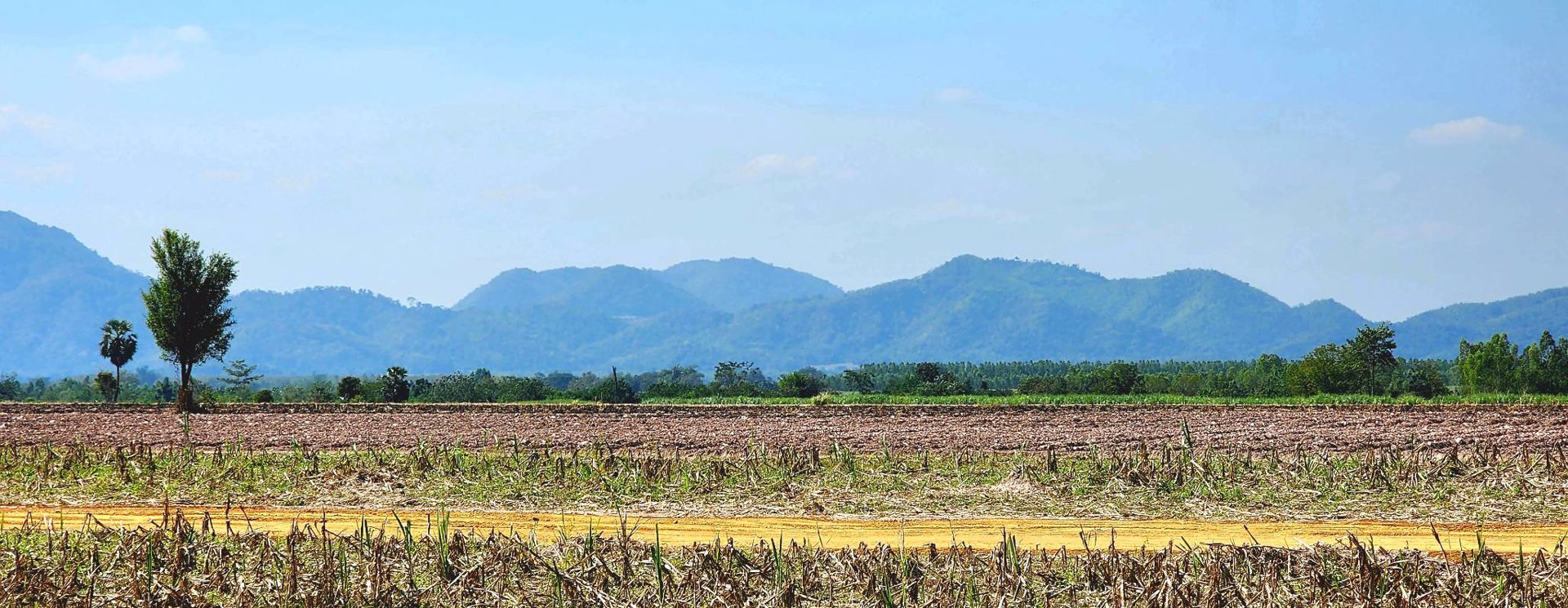 ที่ดินเปล่าแบ่งขาย-วิวภูเขา-โฉนดครุฑแดง-นส4จ