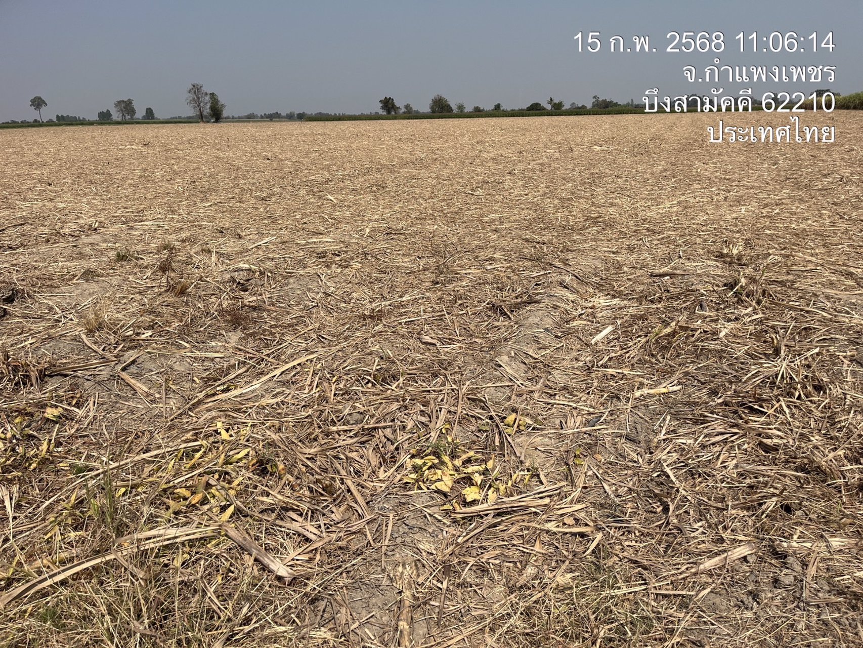 ขายที่ดิน-พื้นที่ทำไร่-พืชเศรษฐกิจ