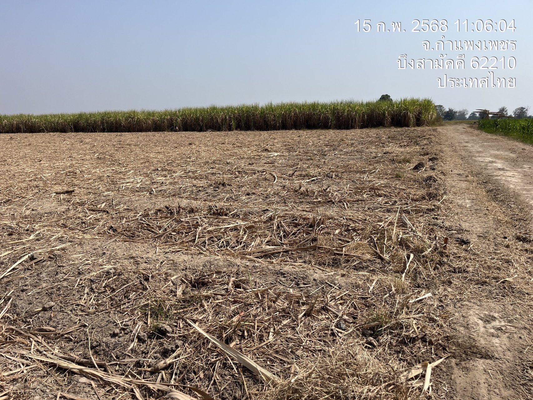 ขายที่ดิน-พื้นที่ทำไร่-พืชเศรษฐกิจ