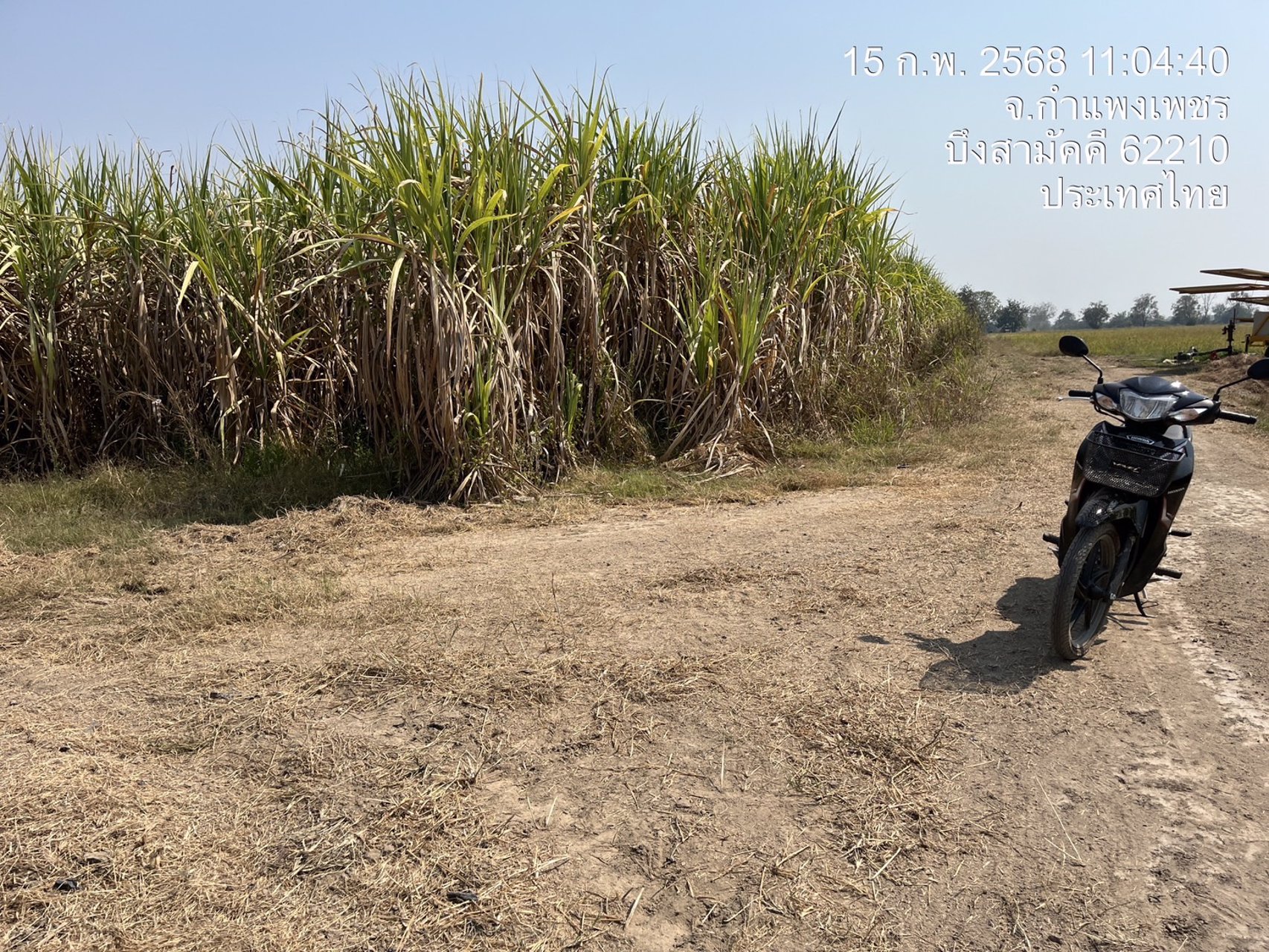 ขายที่ดิน-พื้นที่ทำไร่-พืชเศรษฐกิจ