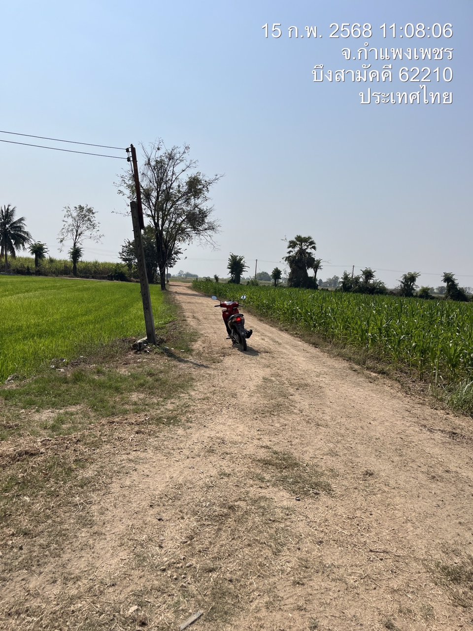 ขายที่ดิน-พื้นที่ทำไร่-พืชเศรษฐกิจ