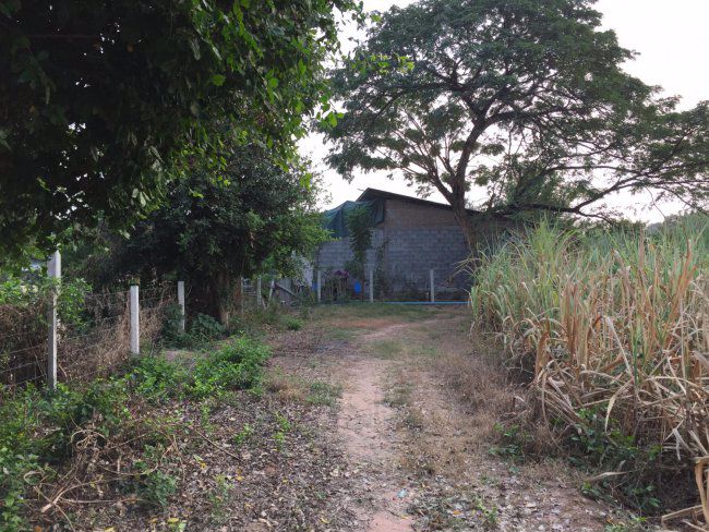 ขายที่ดินติดภูเขา-26ไร่-ตชำแระ-อโพธาราม-จราชบุรี-พร้อมบ้านใหม่