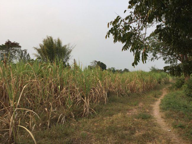 ขายที่ดินติดภูเขา-26ไร่-ตชำแระ-อโพธาราม-จราชบุรี-พร้อมบ้านใหม่