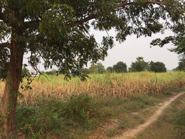 ขายที่ดินติดภูเขา-26ไร่-ตชำแระ-อโพธาราม-จราชบุรี-พร้อมบ้านใหม่