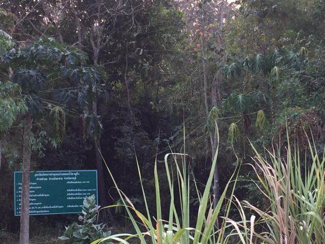 ขายที่ดินติดภูเขา-26ไร่-ตชำแระ-อโพธาราม-จราชบุรี-พร้อมบ้านใหม่