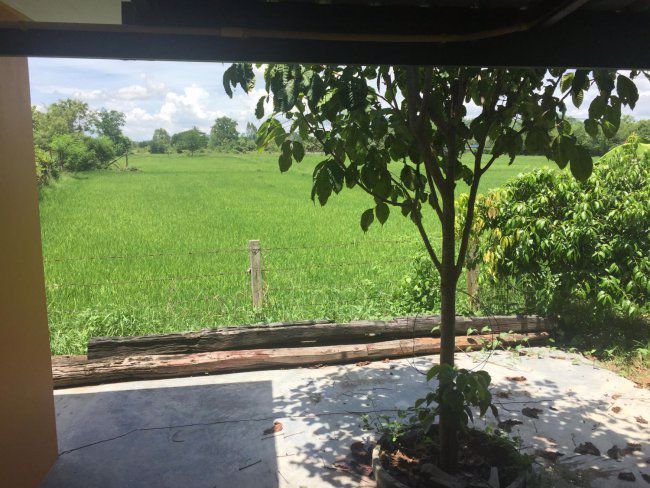 บ้านแฝด2ชั้น-5ห้อง-บ้านเดี่ยว1หลัง-เนื้อที-4ไร่-1งาน-85ตรว-อโพธาราม-จราชบุรี