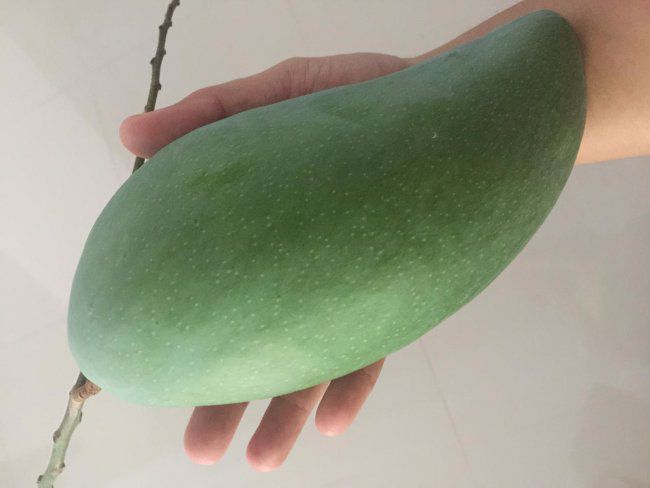 บ้านแฝด2ชั้น-5ห้อง-บ้านเดี่ยว1หลัง-เนื้อที-4ไร่-1งาน-85ตรว-อโพธาราม-จราชบุรี