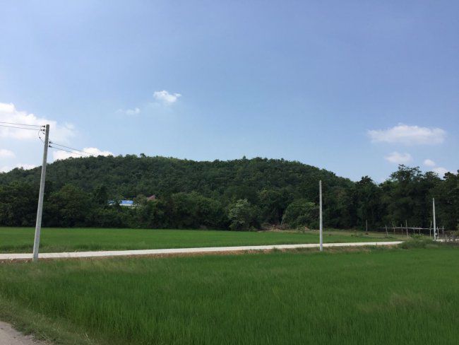 ขายที่7-ไร่-32วา-ใกล้วัดหนองหอย-สนามกอลฟ์รอยัล-อโพธาราม-จราชบุรี