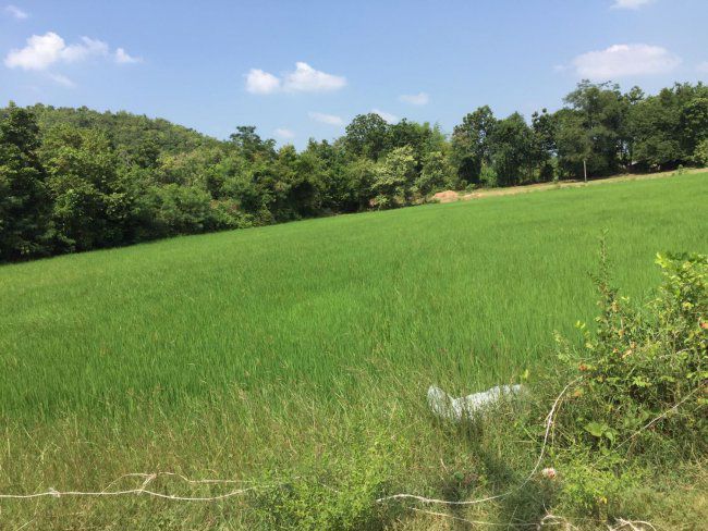 ขายที่7-ไร่-32วา-ใกล้วัดหนองหอย-สนามกอลฟ์รอยัล-อโพธาราม-จราชบุรี