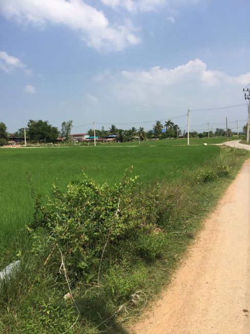 ขายที่7-ไร่-32วา-ใกล้วัดหนองหอย-สนามกอลฟ์รอยัล-อโพธาราม-จราชบุรี