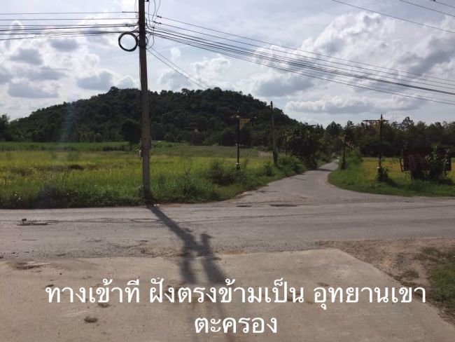 ขายที่-24ไร่-80ตรว-ตเขาขลุง-อบ้านโป่ง-จราชบุรี-ที่อยู่เส้นบ่อเจ๊ก-สระสี่มุม