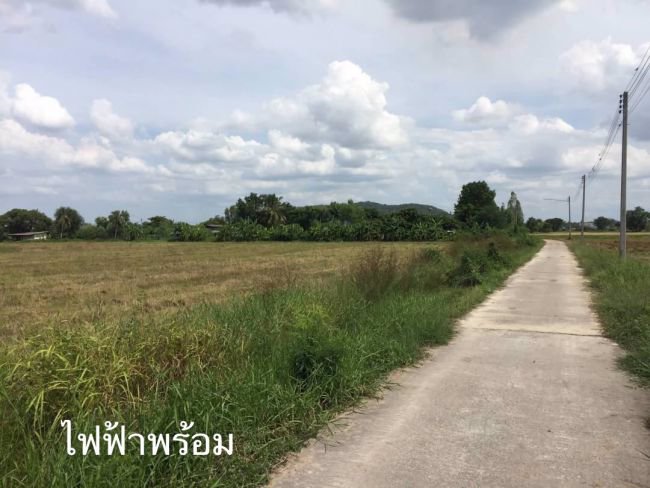 ขายที่-24ไร่-80ตรว-ตเขาขลุง-อบ้านโป่ง-จราชบุรี-ที่อยู่เส้นบ่อเจ๊ก-สระสี่มุม