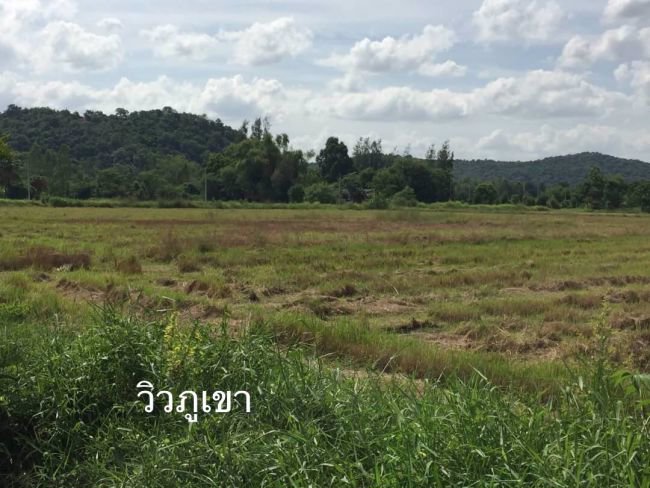 ขายที่-24ไร่-80ตรว-ตเขาขลุง-อบ้านโป่ง-จราชบุรี-ที่อยู่เส้นบ่อเจ๊ก-สระสี่มุม