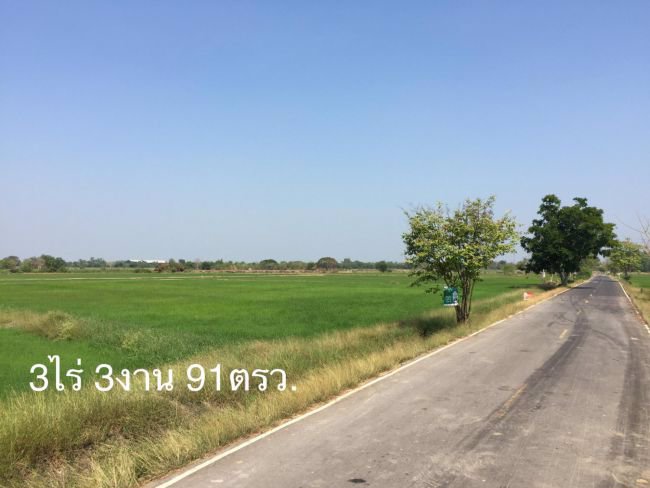 ขายที่นาสวยๆ-3ไร่-3-งาน-91ตรว-ตนางแก้ว-อโพธาราม-จราชบุรี