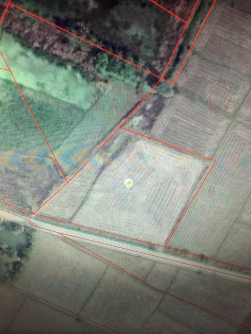 ขายที่นาสวยๆ-3ไร่-3-งาน-91ตรว-ตนางแก้ว-อโพธาราม-จราชบุรี