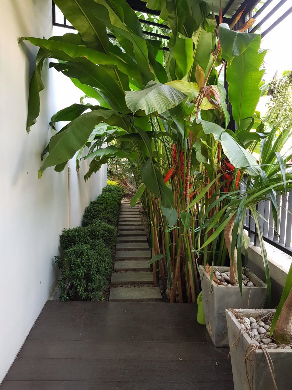 ขายทาวโฮมส์-บ้านกลางเมือง-เอสเซนส์-ห้องมุมแต่งสวย-ใกล้รถไฟฟ้า-ประเวศ-กรุงเทพ-โทร-081-837-6314