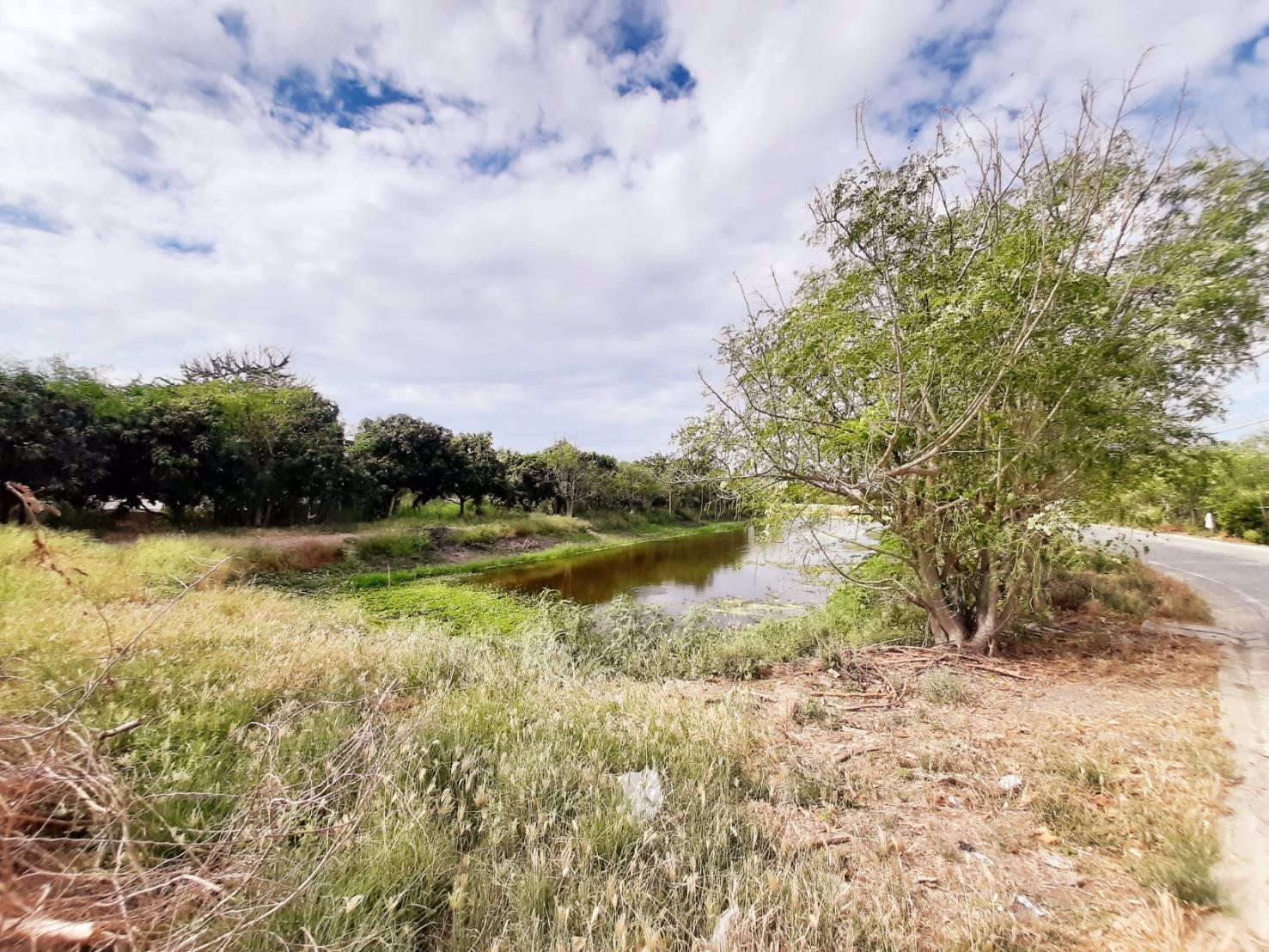 ให้เช่าที่ดิน-4-ไร่เศษ-ระยะยาว-ติดถนนคอนกรีต-อำเภอบางเสาธง-สมุทรปราการ-โทร-081-4349463