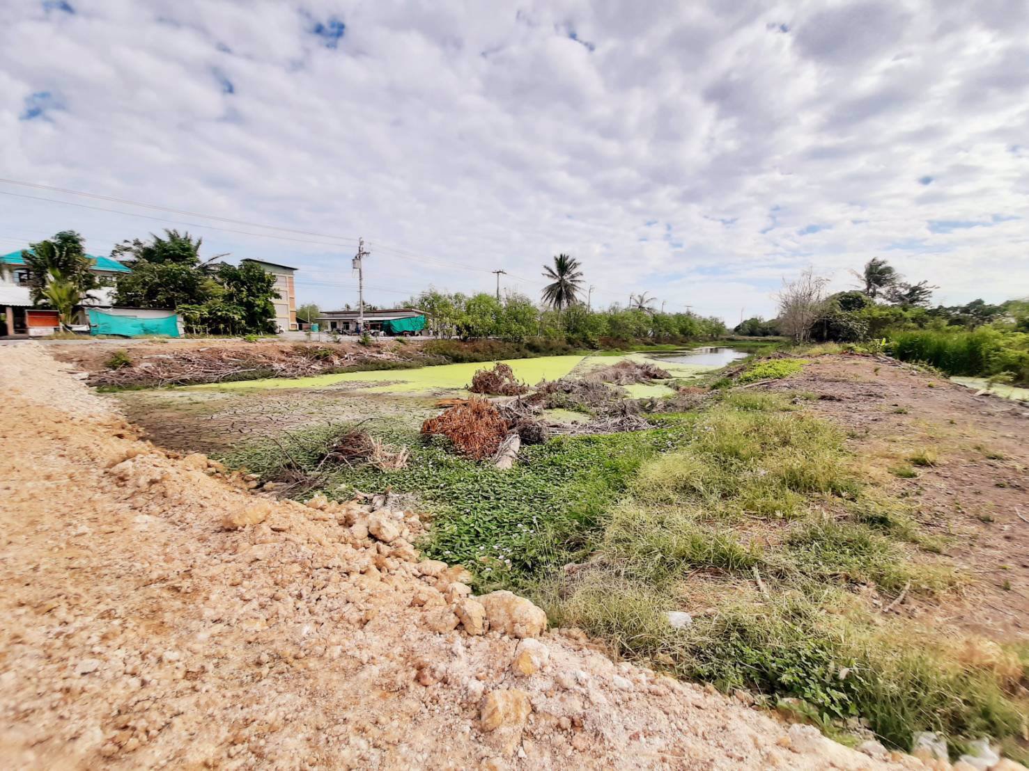 ให้เช่าที่ดิน-4-ไร่เศษ-ระยะยาว-ติดถนนคอนกรีต-อำเภอบางเสาธง-สมุทรปราการ-โทร-081-4349463