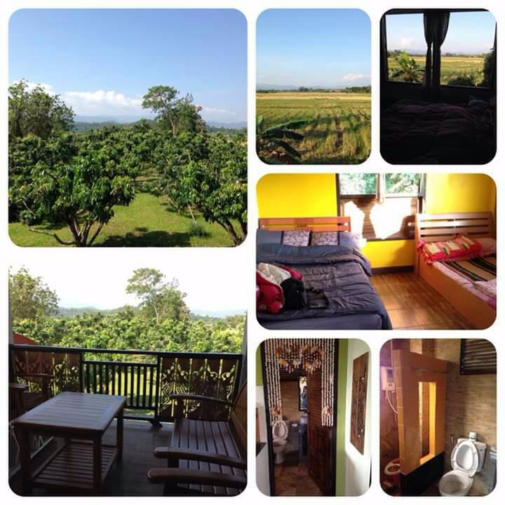 ขายบ้านสวน-แม่สรวย-บ้านสวนตกแต่งสไตล์ล้านนา-พื้นที่-1-ไร่-1-งาน-30-ตารางวา