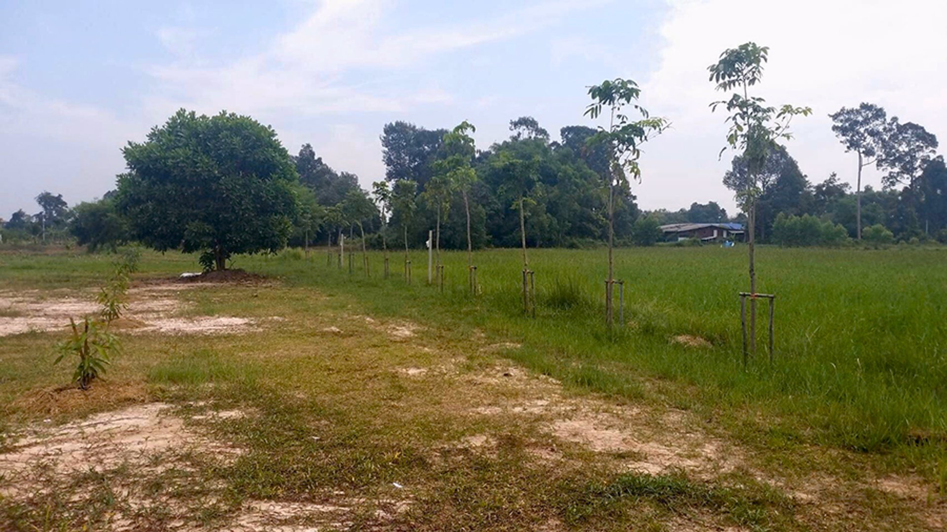 ขายบ้านสวนพร้อมอยู่อาศัย-15-ไร่-เจ้าของขายเอง-อำเภอบ้านนา-จังหวัดนครนายก-โทร-0639528555