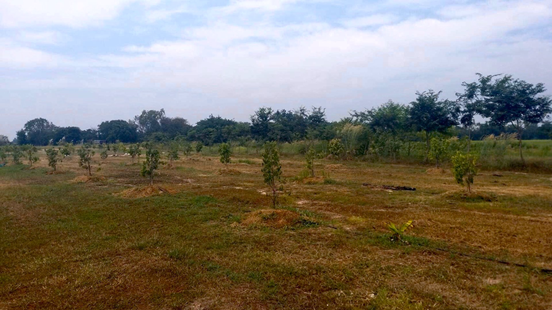 ขายบ้านสวนพร้อมอยู่อาศัย-15-ไร่-เจ้าของขายเอง-อำเภอบ้านนา-จังหวัดนครนายก-โทร-0639528555