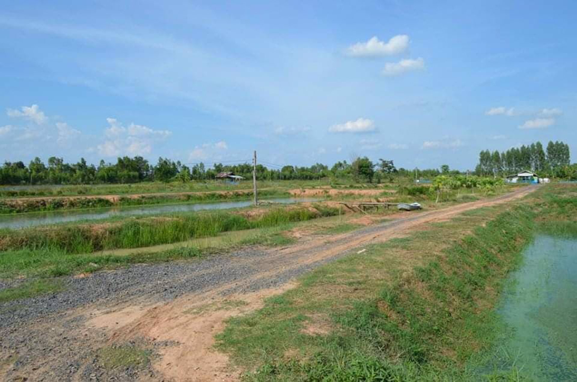 ขายที่ดินสวย-105-ไร่-เจ้าของขายเอง-อำเภอลำปลายมาศ-จังหวัดบุรีรัมย์