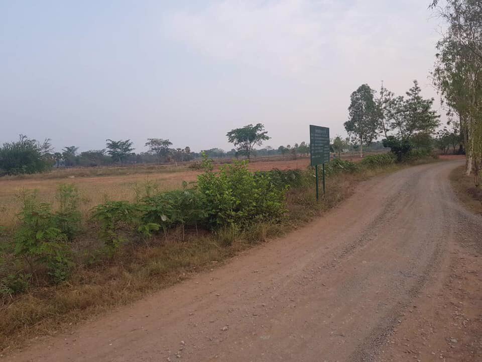 ขายที่จำนวน-12-ไร่-ราคาไร่ละ-700000-บาท-บรรยากาศดีน้ำไฟครบ-อำเภอโนนไทย-นครราชสีมา