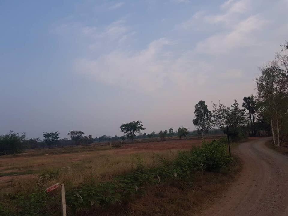ขายที่จำนวน-12-ไร่-ราคาไร่ละ-700000-บาท-บรรยากาศดีน้ำไฟครบ-อำเภอโนนไทย-นครราชสีมา