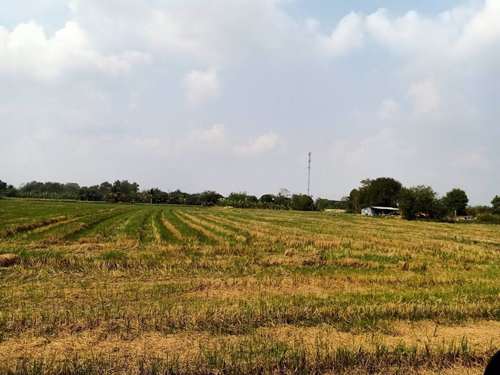 ขายที่ดิน-33-ไร่-148-ตรว-ทำเลดีสุดๆ-ขายถูก-อำเภอเสาไห้-จังหวัดสระบุรี