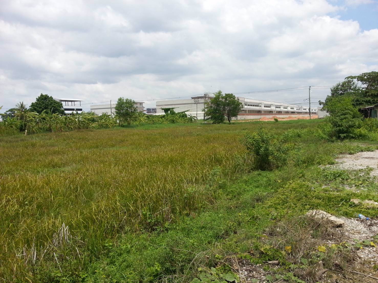 ให้เช่าที่ดินแปลงสวย-10494-ตารางวา-ใกล้สนามบินสุวรรณภูมิ-โทร-089-5189595