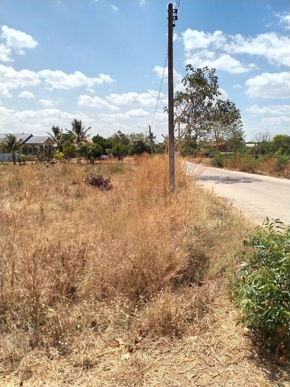 ขายด่วน-ที่ดินเปล่า-เหมาะแก่การลงทุน-เกร็งกำไร-สร้างหอพัก-ที่อยู่อาศัย-หรือ-ประกอบธุรกิจอื่นๆ