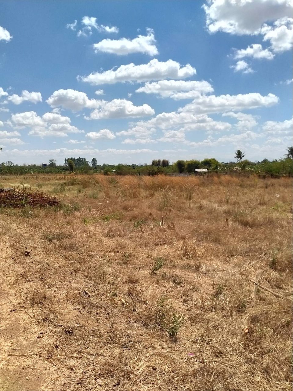 ขายด่วน-ที่ดินเปล่า-เหมาะแก่การลงทุน-เกร็งกำไร-สร้างหอพัก-ที่อยู่อาศัย-หรือ-ประกอบธุรกิจอื่นๆ