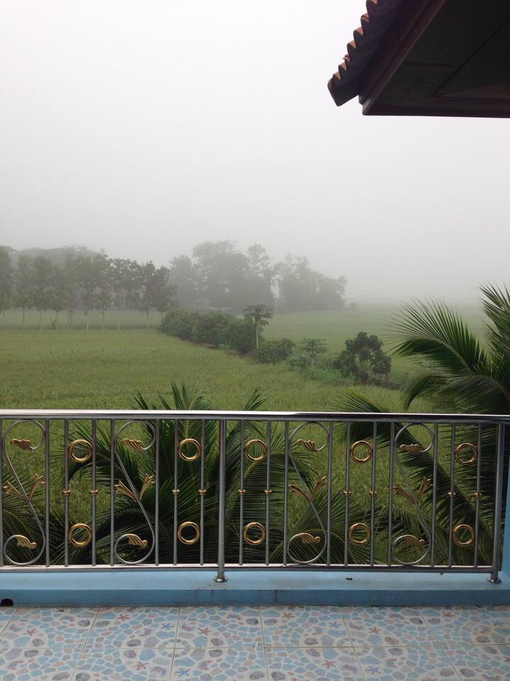 บ้านไม้สักทอง-2-ชั้น-พร้อมที่ดินขนาด-3-งาน-1-ตารางวา-อำเภอเชียงม่วน-จังหวัดพะเยา