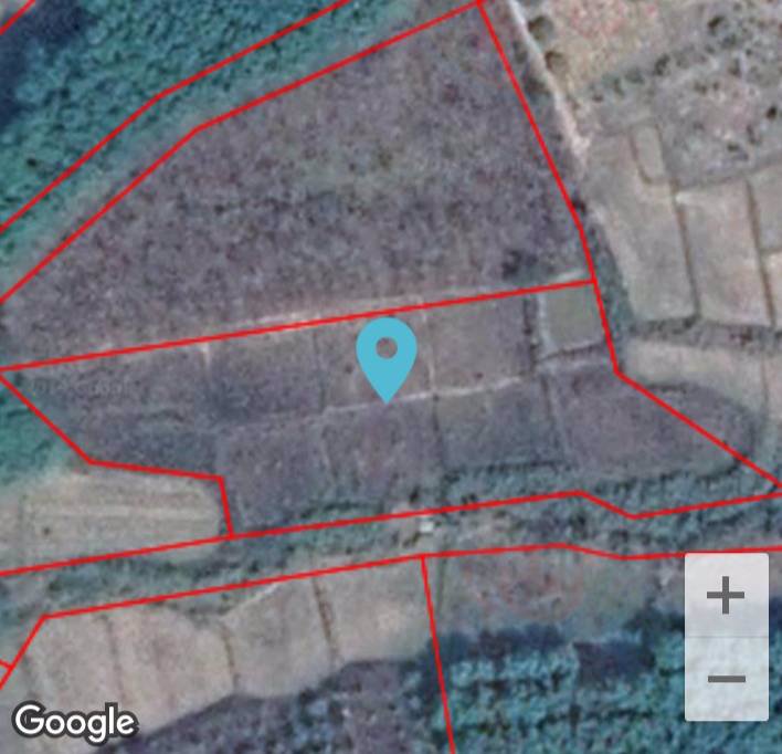 ขายที่ดินเพื่อการเกษตร-นาข้าว-รถสามารถผ่านเข้าออกได้-อำเภอเชียงกลาง-จังหวัดน่าน-โทร-0833214381