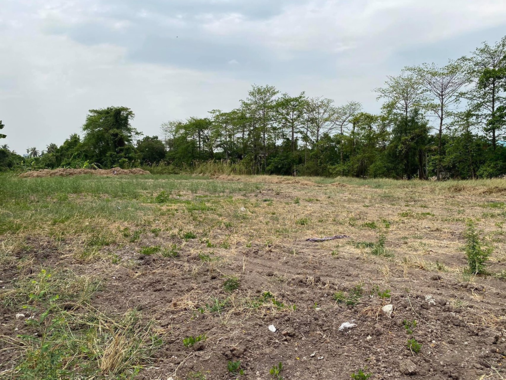 ขายที่ดินขนาด-1-ไร่-2-งาน-ใกล้ถนนราชพฤกษ์-ปากเกร็ด-นนทบุรี-โทร-0985535322