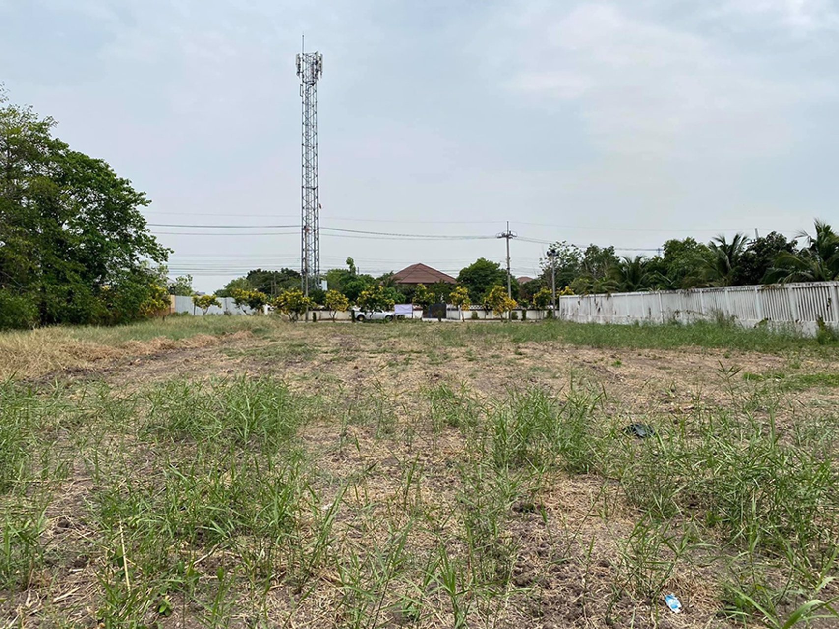 ขายที่ดินขนาด-1-ไร่-2-งาน-ใกล้ถนนราชพฤกษ์-ปากเกร็ด-นนทบุรี-โทร-0985535322