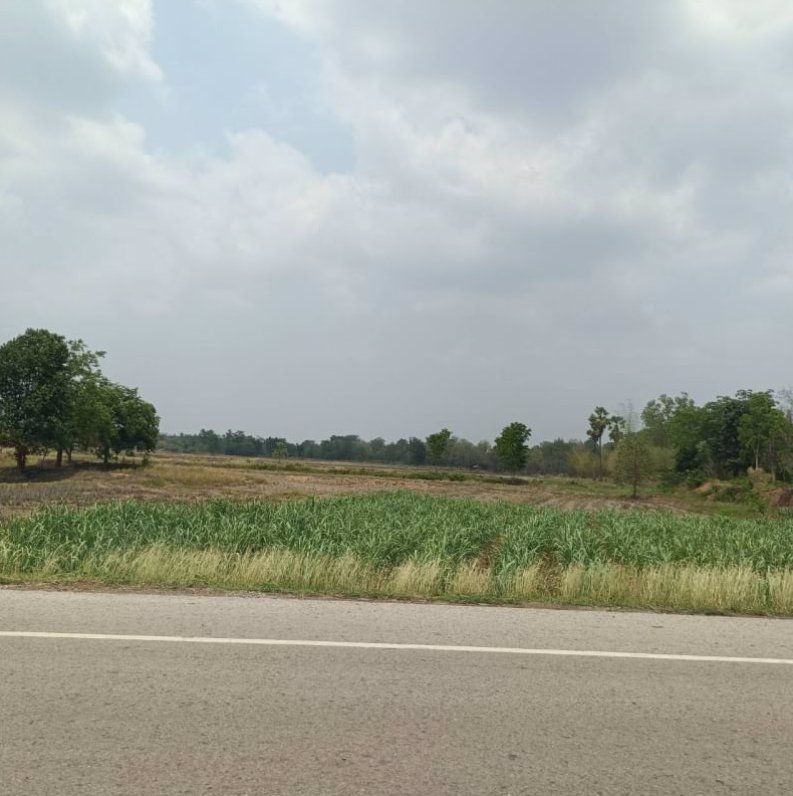 ขายที่ดินทำบ้าน-ติดถนนลาดยาง-3-ไร่-1-งาน-69-ตรว