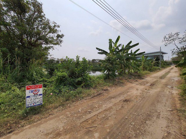 ขายด่วนที่ดินเปล่าทำเลดี-2แปลง-1-ไร่-และ-1-1-63-ไร่-ซอยวัดปลัดเปรียง-ถนนบางนาตราด-ใกล้เมกะบางนา