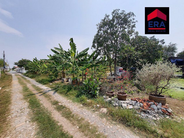 ขายด่วนที่ดินเปล่าทำเลดี-2แปลง-1-ไร่-และ-1-1-63-ไร่-ซอยวัดปลัดเปรียง-ถนนบางนาตราด-ใกล้เมกะบางนา