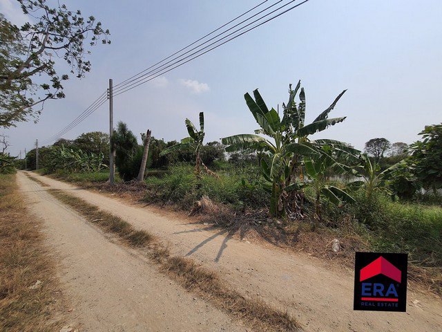 ขายด่วนที่ดินเปล่าทำเลดี-2แปลง-1-ไร่-และ-1-1-63-ไร่-ซอยวัดปลัดเปรียง-ถนนบางนาตราด-ใกล้เมกะบางนา